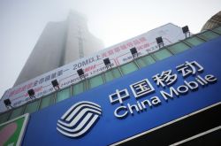 详细教程!丽江公司电话号码_哔哩哔哩-2